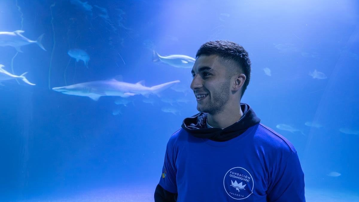 Ferran Torres, en una visita al Oceanogràfic
