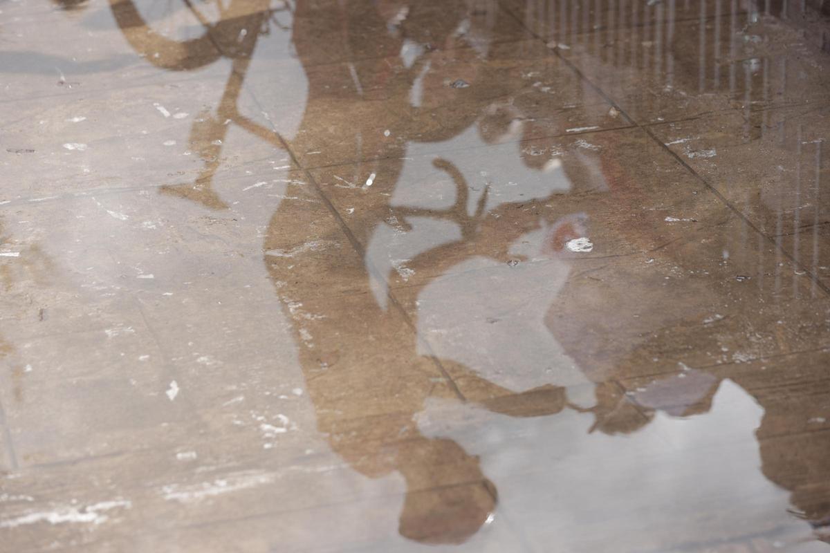 Vigésimoprimera y última etapa de la Vuelta Ciclista a España. Vigésimoprimera y última etapa de la Vuelta Ciclista a España.