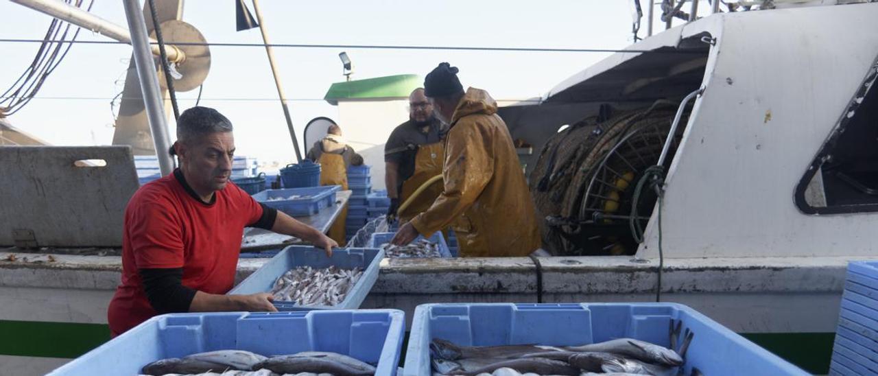 Pescadores de una barca de arrastre en el puerto de Castelló.