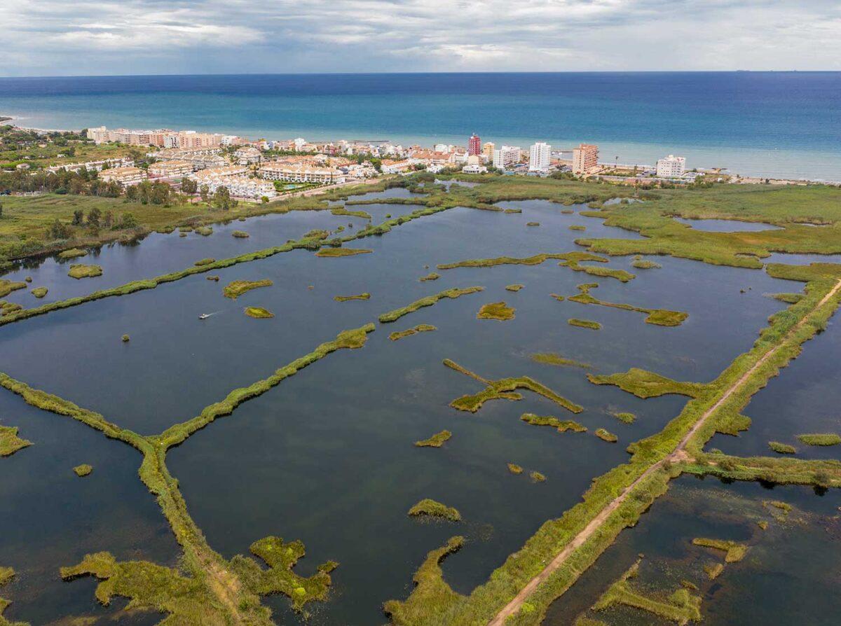 Los ecosistemas que capturan el carbono azul, en peligro