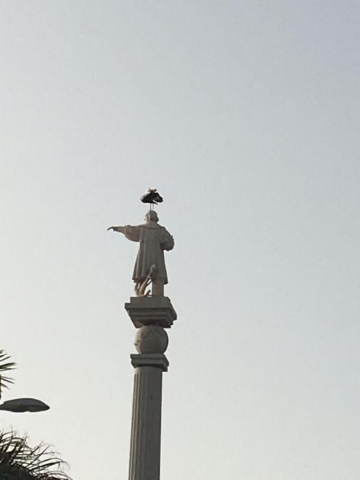 Una cigüeña 'veranea' en la estatua de Colón en Maspalomas