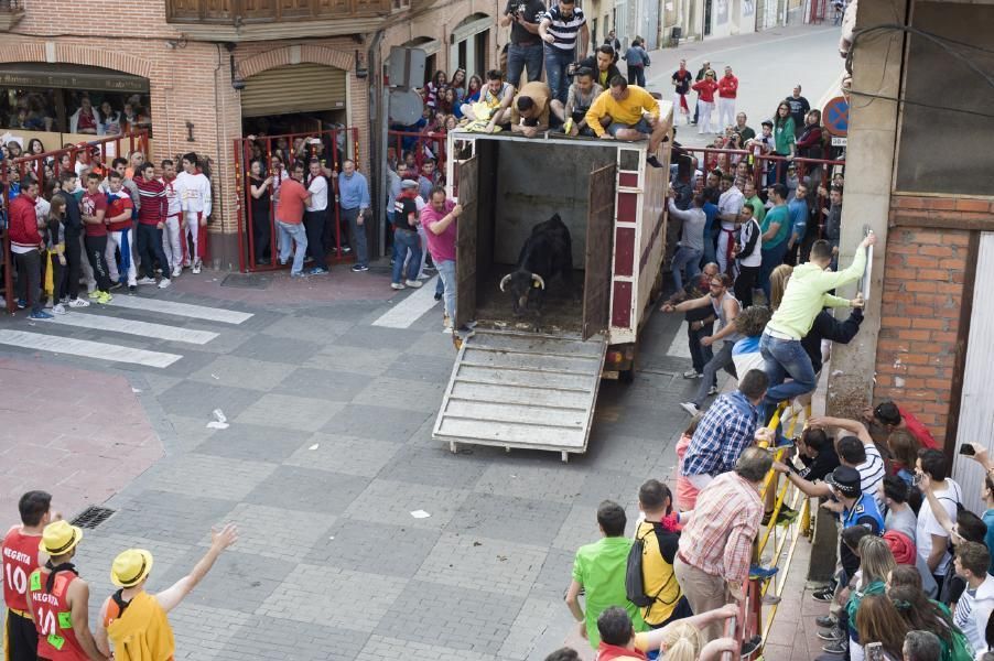 Becerrada, encierros y vaca de la sangría