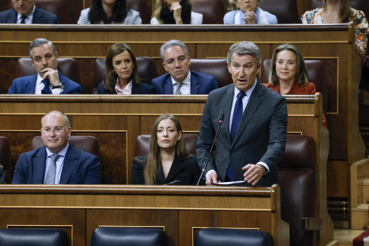 El presidente del PP, Alberto Núñez Feijóo, en el Congreso esta semana.