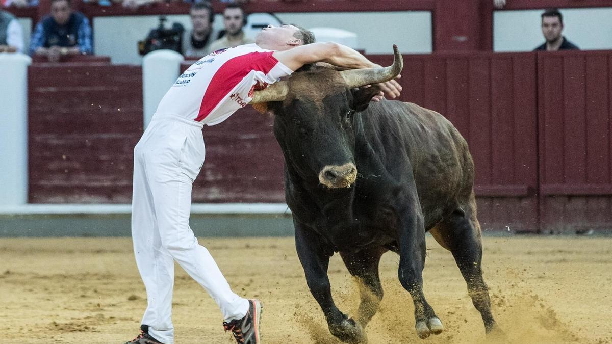 Concurso cortes Coreses