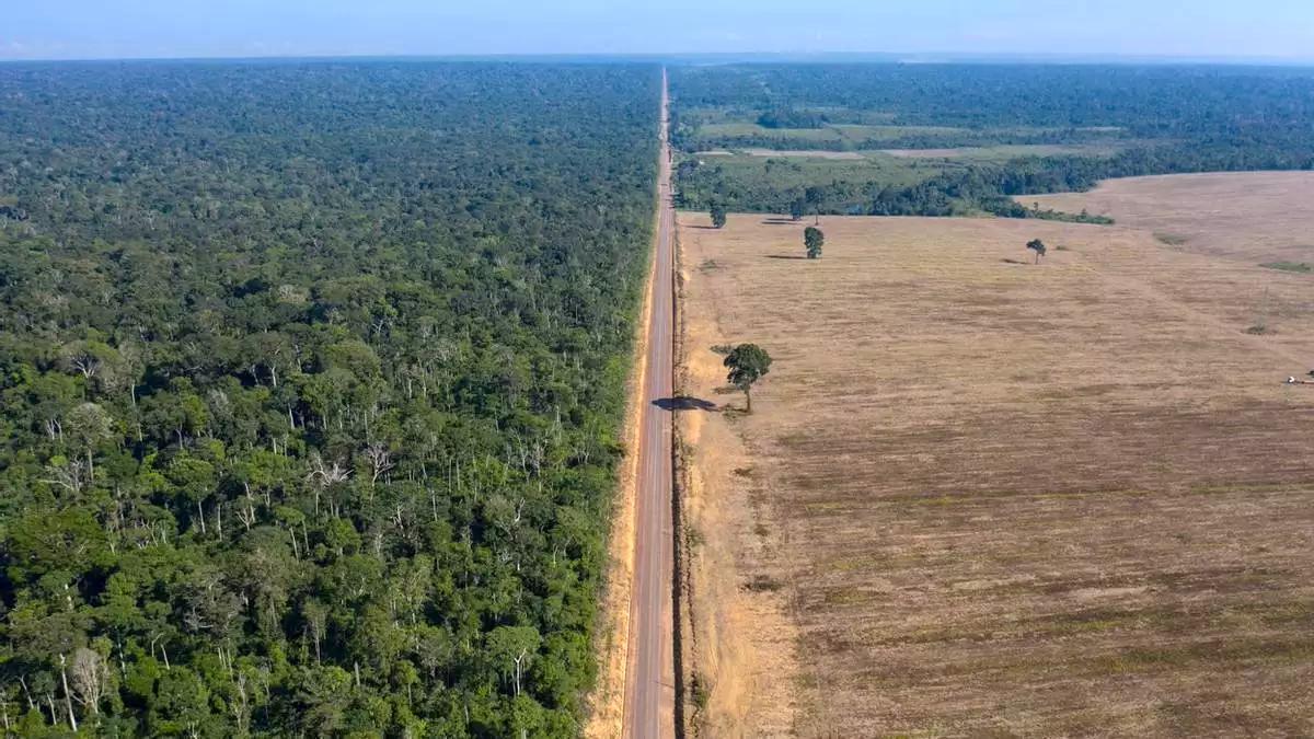 Una carretera avanza entre el Bosque Nacional de Tapajos –izquierda– y un campo de soja en la Amazonía brasileña.