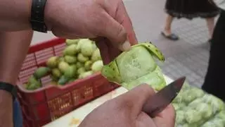 ¿Adiós definitivo en Córdoba a la venta callejera de higos chumbos? Tampoco habrá este verano