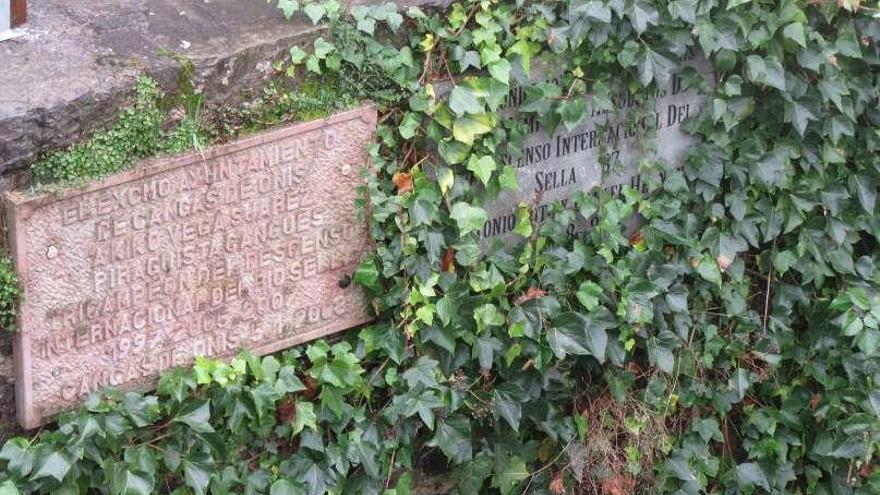 La hiedra &quot;se come&quot; la placa del Sella en Cangas de Onís