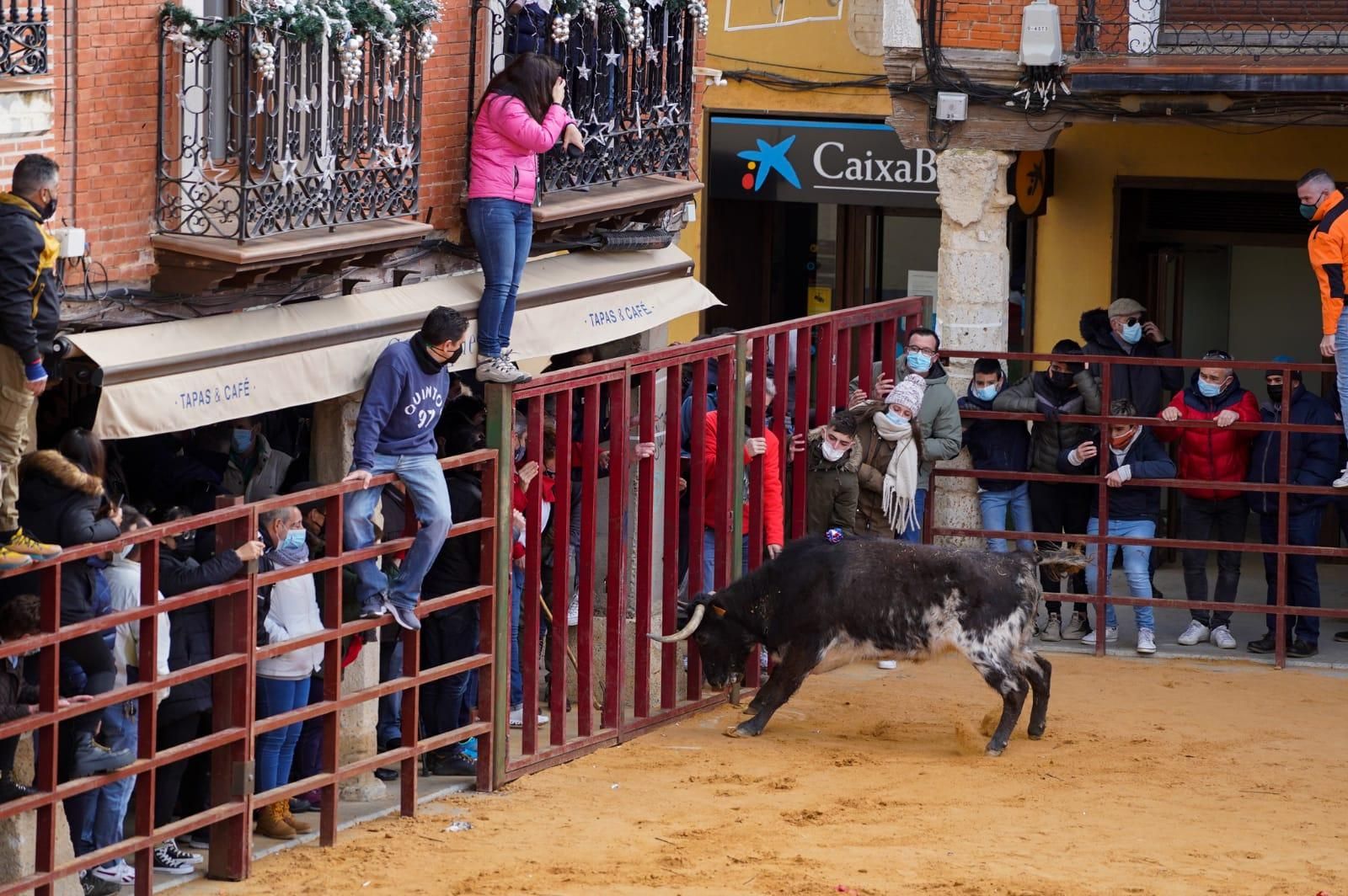 GALERÍA | Vuelve el Toro de la Purísima a Villalpando: así se ha celebrado el festejo taurino