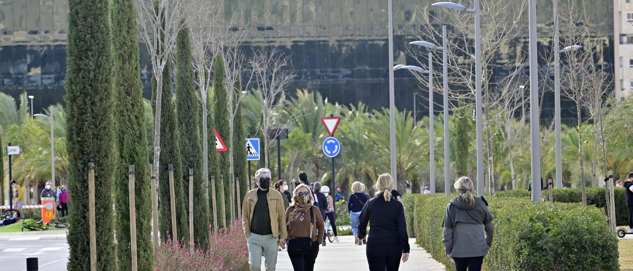 Campus de la UMH en Elche