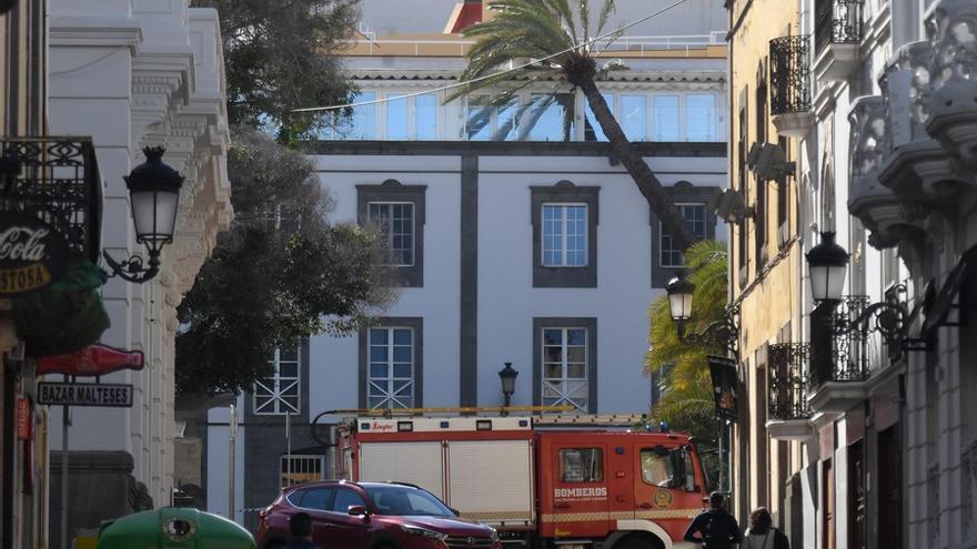 Una palmera se estrella contra un edificio en la Alameda de Colón