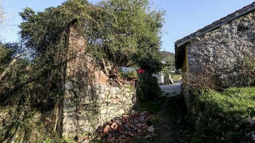 Parte del muro de la finca caído en el camino en Cotollano.