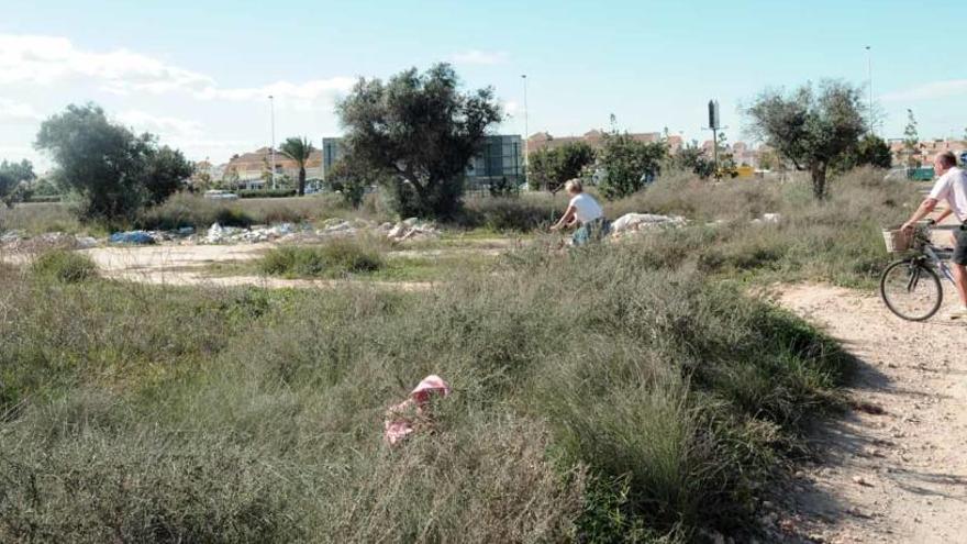 TM compra terrenos en La Hoya para construir 2.000 casas en el último suelo urbano de Torrevieja