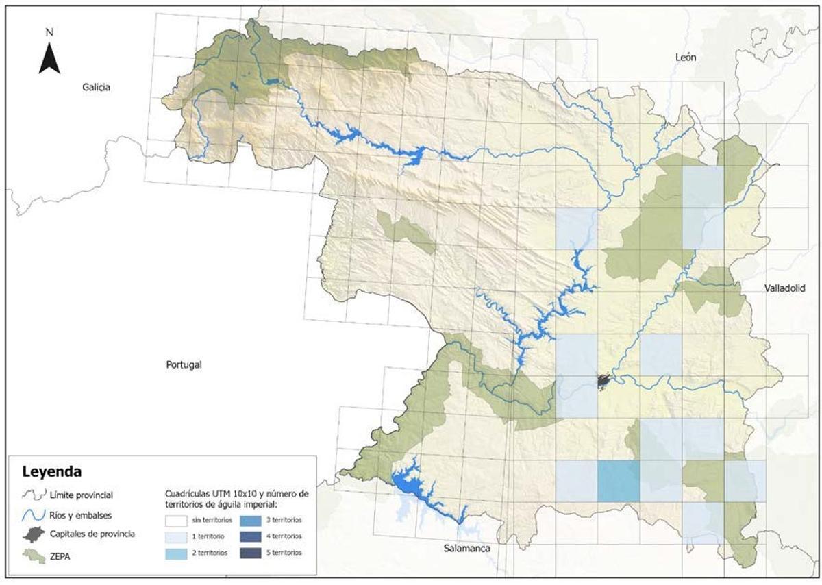 Expansión del águila imperial en Zamora