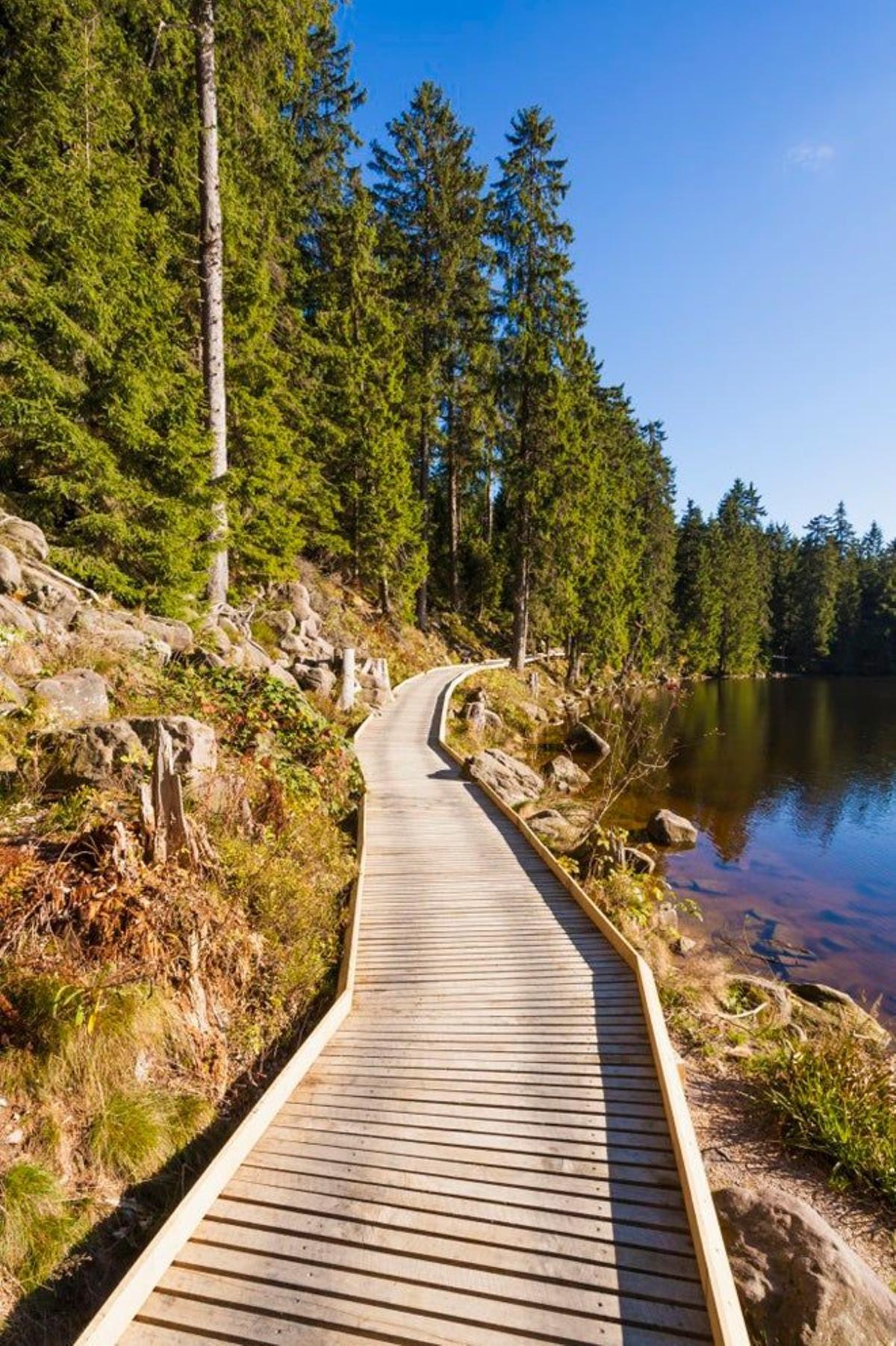 Camino de madera en el lago Mummel