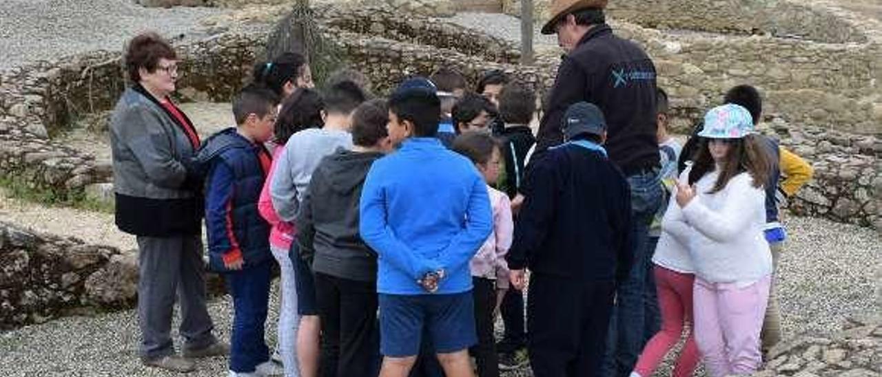 Un grupo de alumnos durante la visita al monte do Castro. // FdV