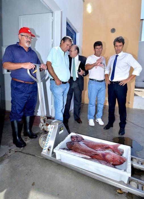 COFRADIAS PESCADORES AGAETE HERNANDEZ BENTO