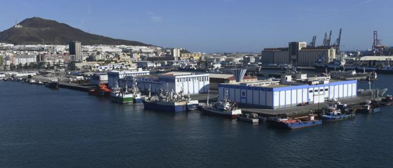 Vista del Muelle Pesquero del Puerto de Las Palmas |