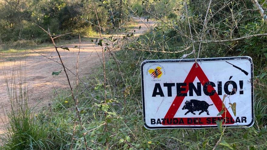 Els caçadors gironins no caçaran senglars en protesta pel «menyspreu» que reben de la Generalitat