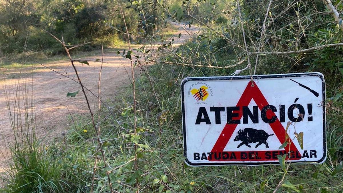 Un cartell que alerta d&#039;una batuda de senglars en una zona boscosa del parc natural del Montgrí