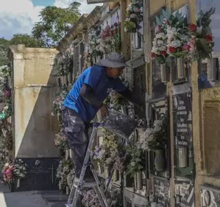 El Cementerio Viejo de Elche abrirá de noche para rutas de misterios