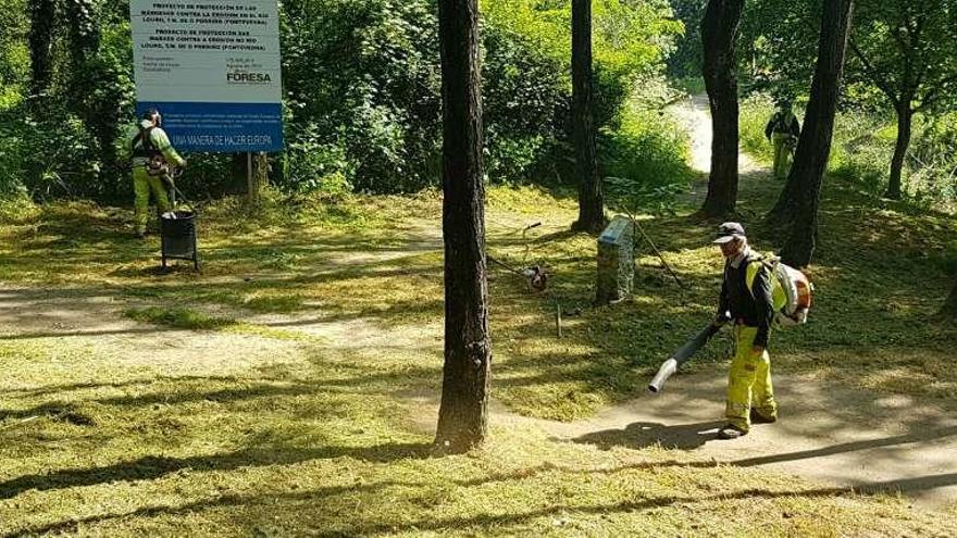 Operarios limpiando el sendero del río Louro, en Porriño. // FdV