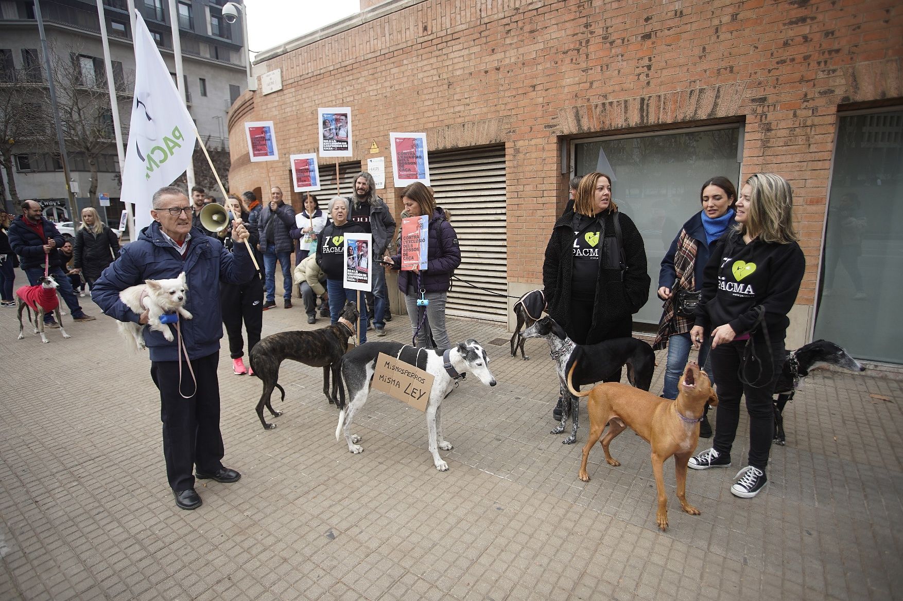 Concentracions del PACMA a Girona per reclamar incloure els gossos de caça a la llei de protecció animal