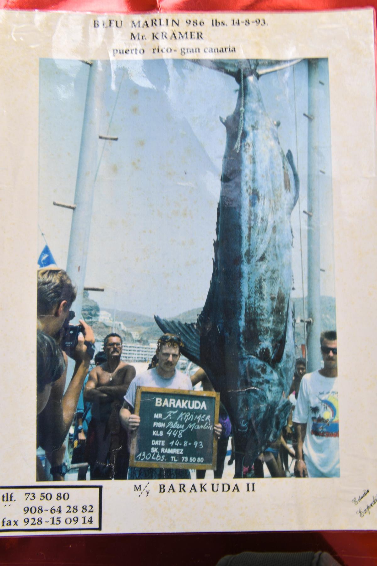 La mayor captura de Cándido Ramírez, un picuda de 480 kilos.