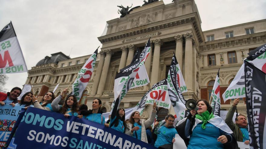 ¿Por qué se quejan los veterinarios? ¿Qué es el sistema PresVet? Las claves de la polémica