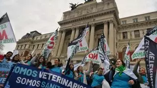 ¿Por qué se quejan los veterinarios? ¿Qué es el sistema PresVet? Las claves de la polémica