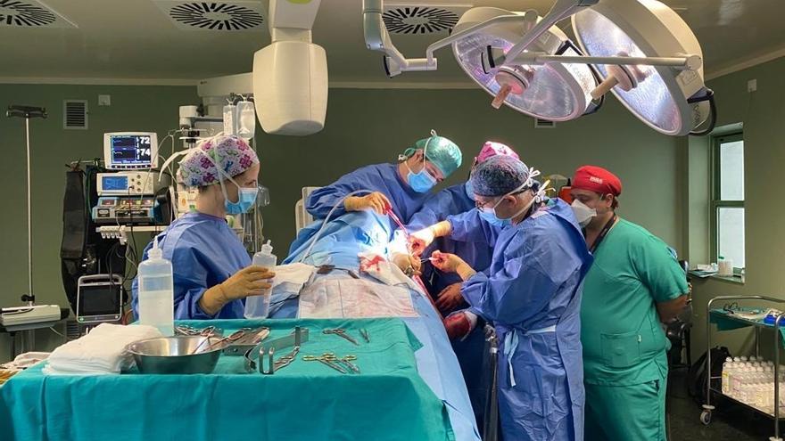 La Candelaria interviene a 30 pacientes con una técnica de operación de hombro que evita las prótesis