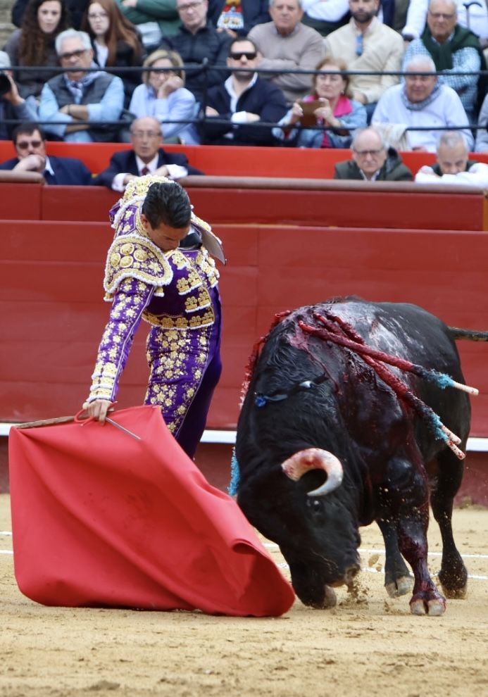 Manzanares arropado por aficionados de Alicante en la Feria de Fallas