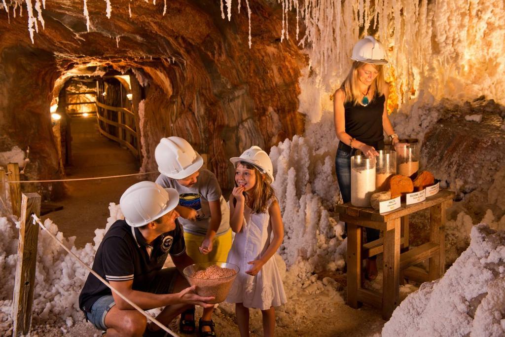 Parc Cultural Muntanya de Sal.