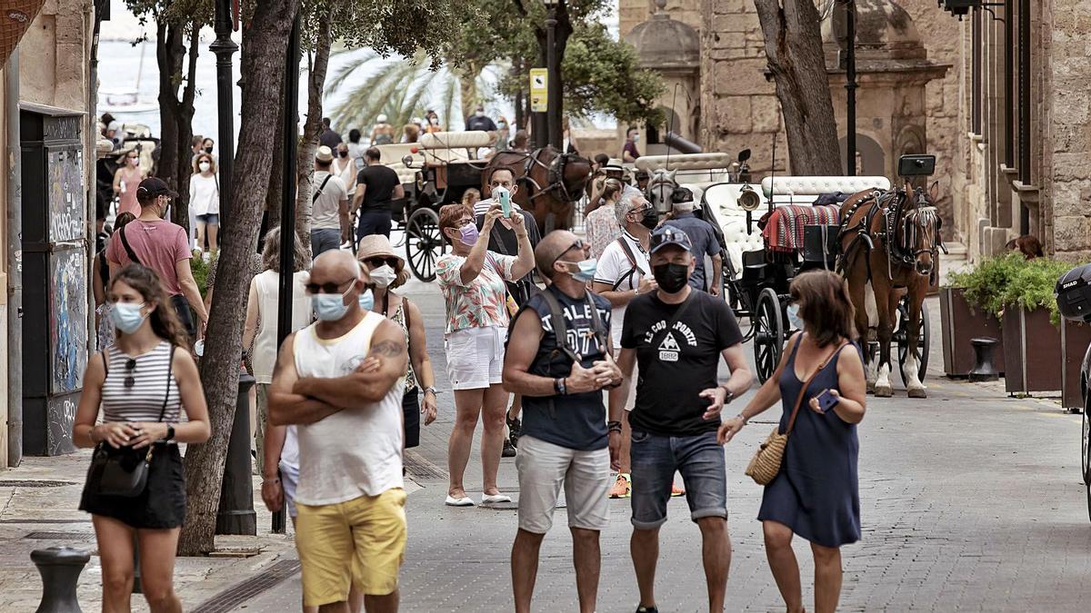 Turistas en la zona de la Seu, en Palma, la zona turística de la isla con mejores cifras este verano.