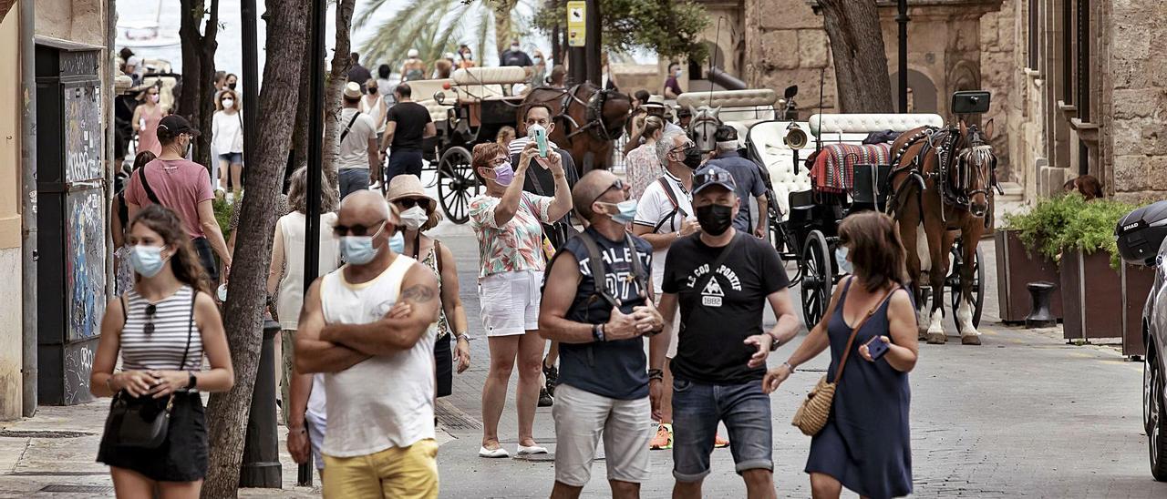 Turistas en la zona de la Seu, en Palma, la zona turística de la isla con mejores cifras este verano.