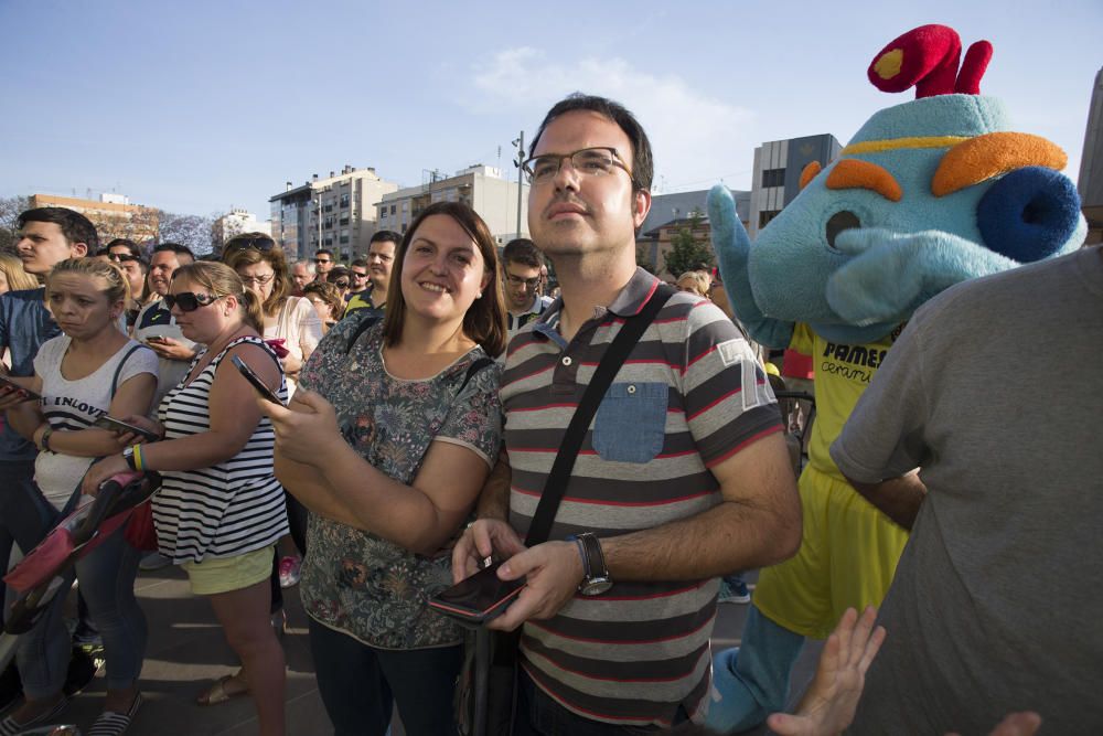 Carme Ripollés