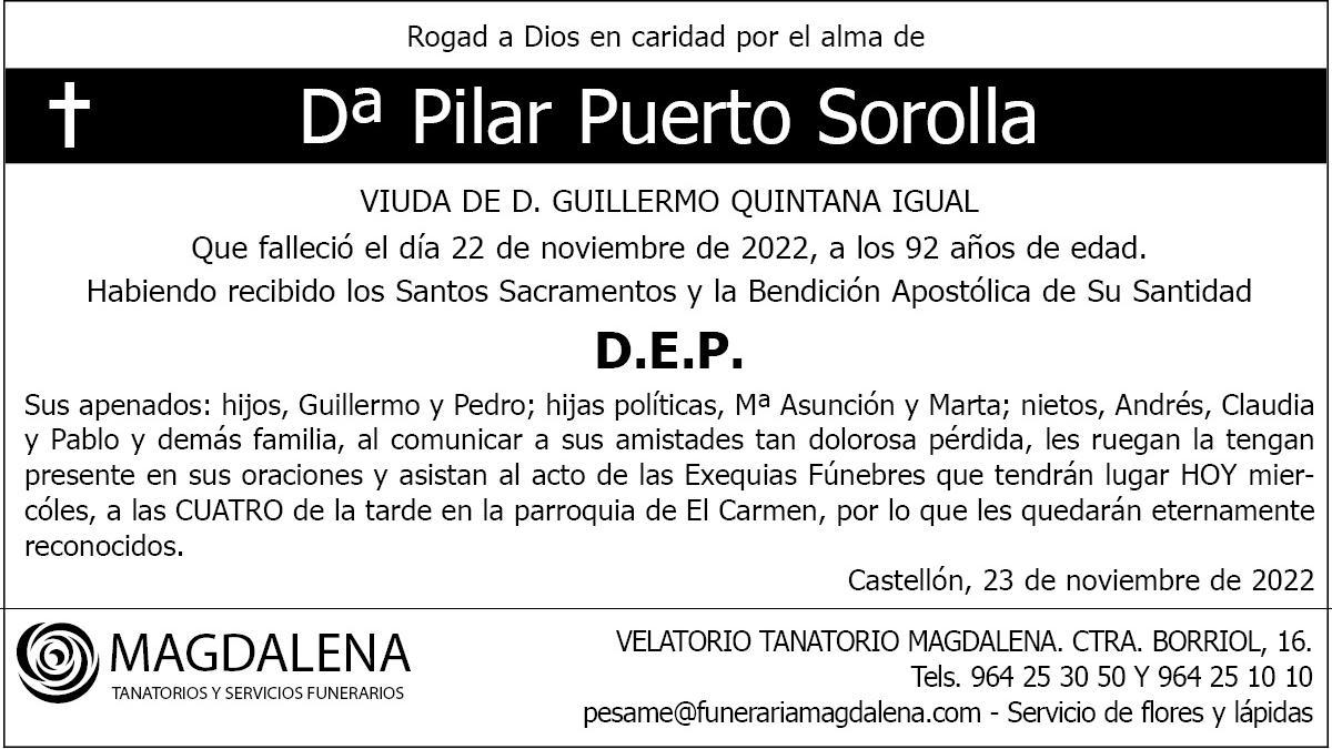 Dª Pilar Puerto Sorolla