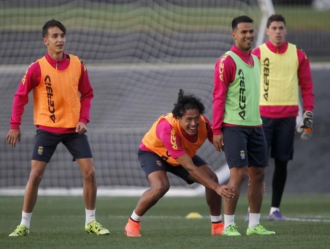 CALABUIG MARZO 04/02/2016 .  FUTBOL . ENTRENAMIENTO DE LAS PALMAS EN PATERNA