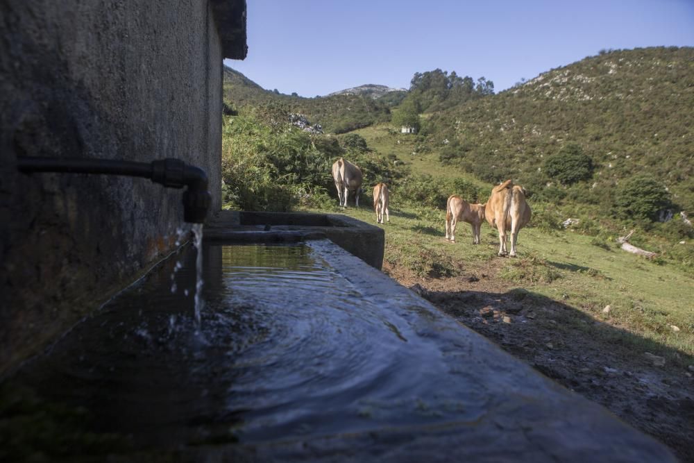 Las rutas por Asturias: las foces del río Pendón