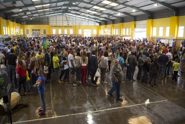 Fiesta de la Freasa en Valsequillo con concurso ...