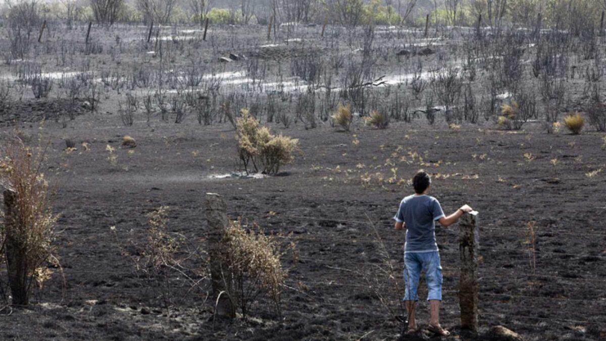 Incendio de Ávila: podría ser el cuarto más extenso de España desde 1961