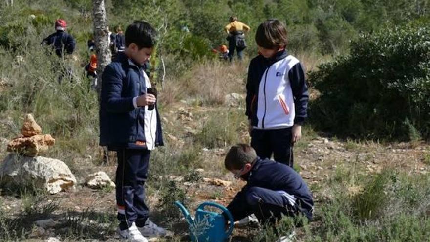 Más de 600 alumnos reforestan l&#039;Hort de Soriano en Carcaixent