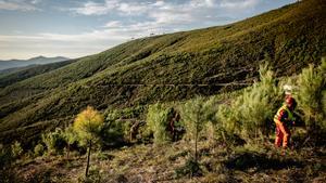 Treballs forestals a Caminomorisco, Extremadura.