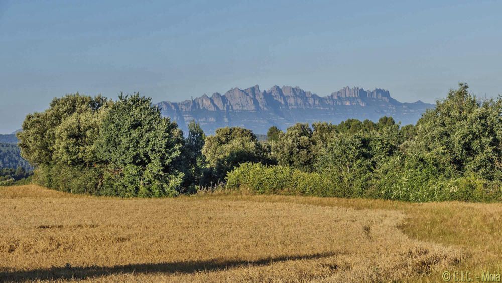 Albada i començament  del dia des del Moianès.