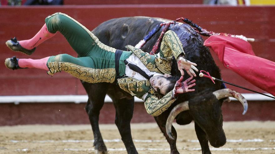 El diestro jerezano Juan José Padilla resulta cogido por &quot;Hortensia&quot;, de la ganadería Fuente Ymbro, durante la segunda corrida de la Feria de Fallas.