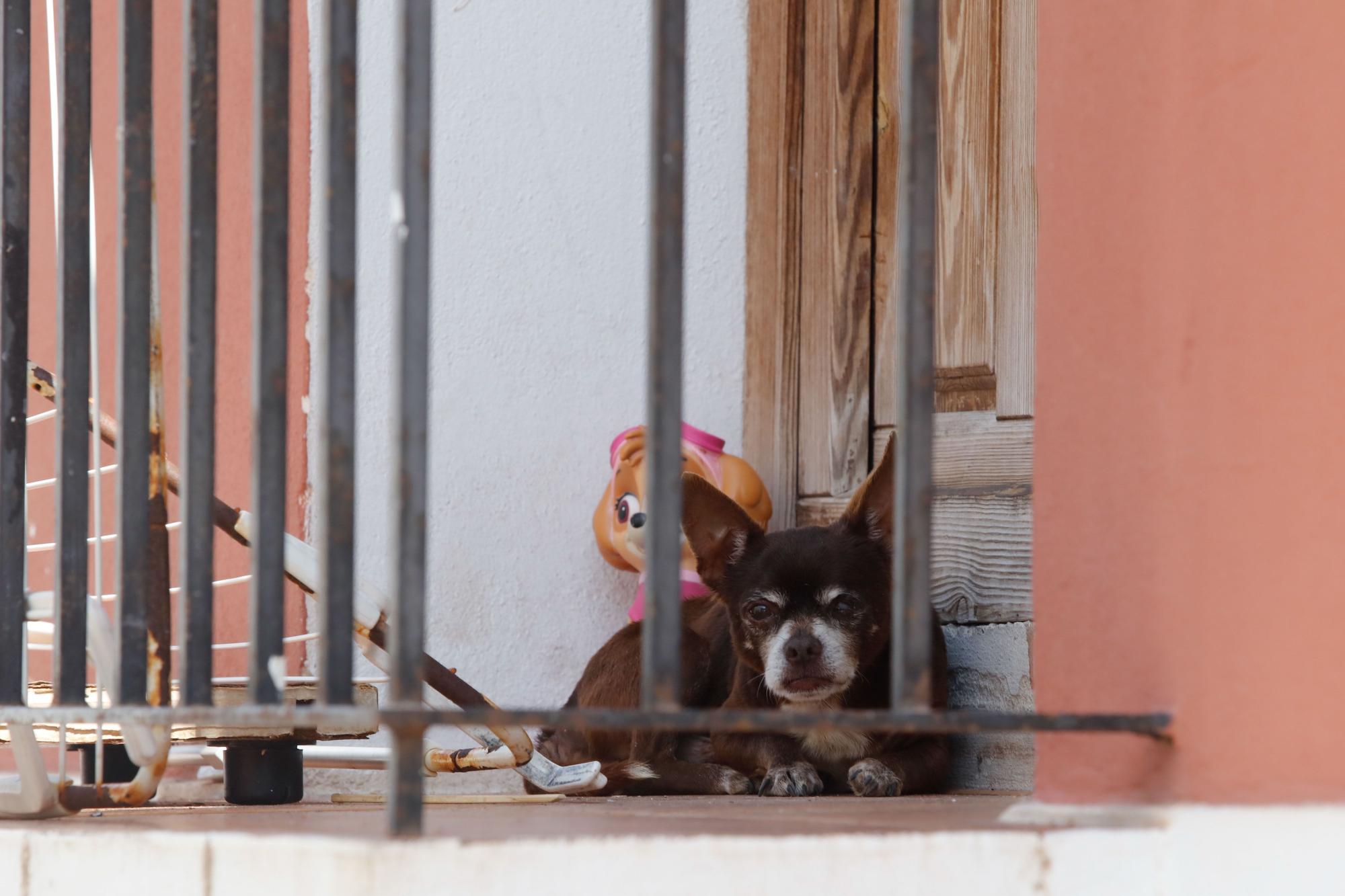 Desahucio de una familia con tres hijos en el barrio de Sa Penya de Ibiza