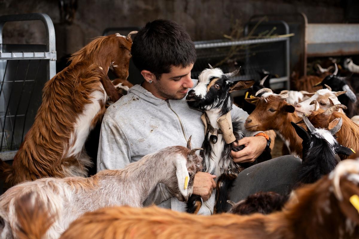 Jorge San Gil, con sus cabras palmeras en la Granja EL GUISIO.