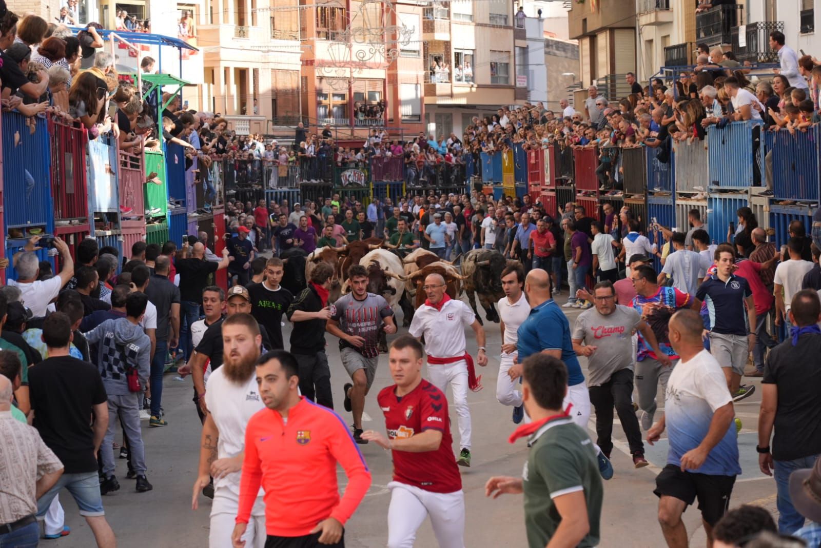 Las mejores imágenes del encierro de  Couto de Fornilhos y Santa Teresa en Onda