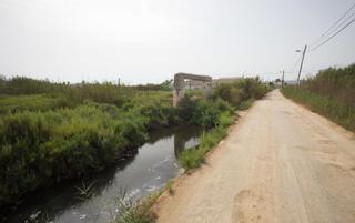 La salinidad del agua de la nueva depuradora de Ibiza frustra la regeneración de ses Feixes