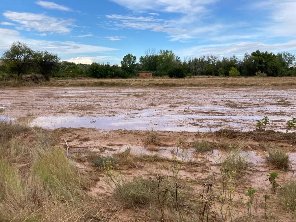 La DANA provoca la cancelación del festival Bosque Sonoro