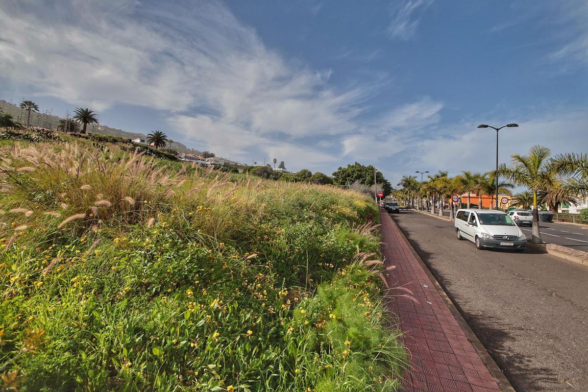 Zona en la que se ubicará en futuro parque de Valle de Guerra Zona en la que se ubicará en futuro parque de Valle de Guerra